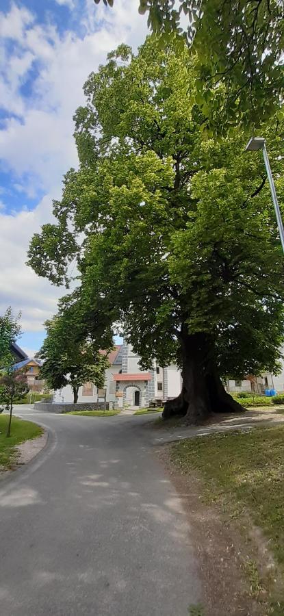 Apartmaji Mojca Križe Eksteriør billede