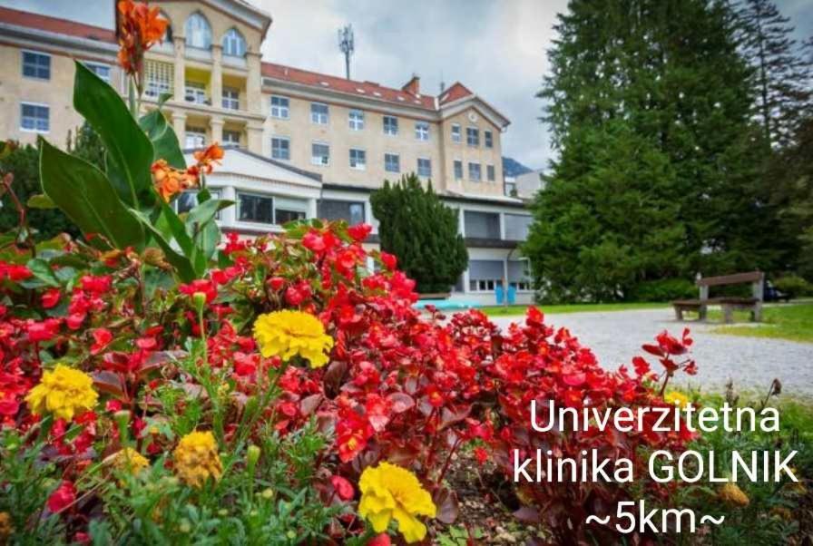 Apartmaji Mojca Križe Eksteriør billede